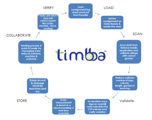 step by step process of log scanning by Timbba for timber management