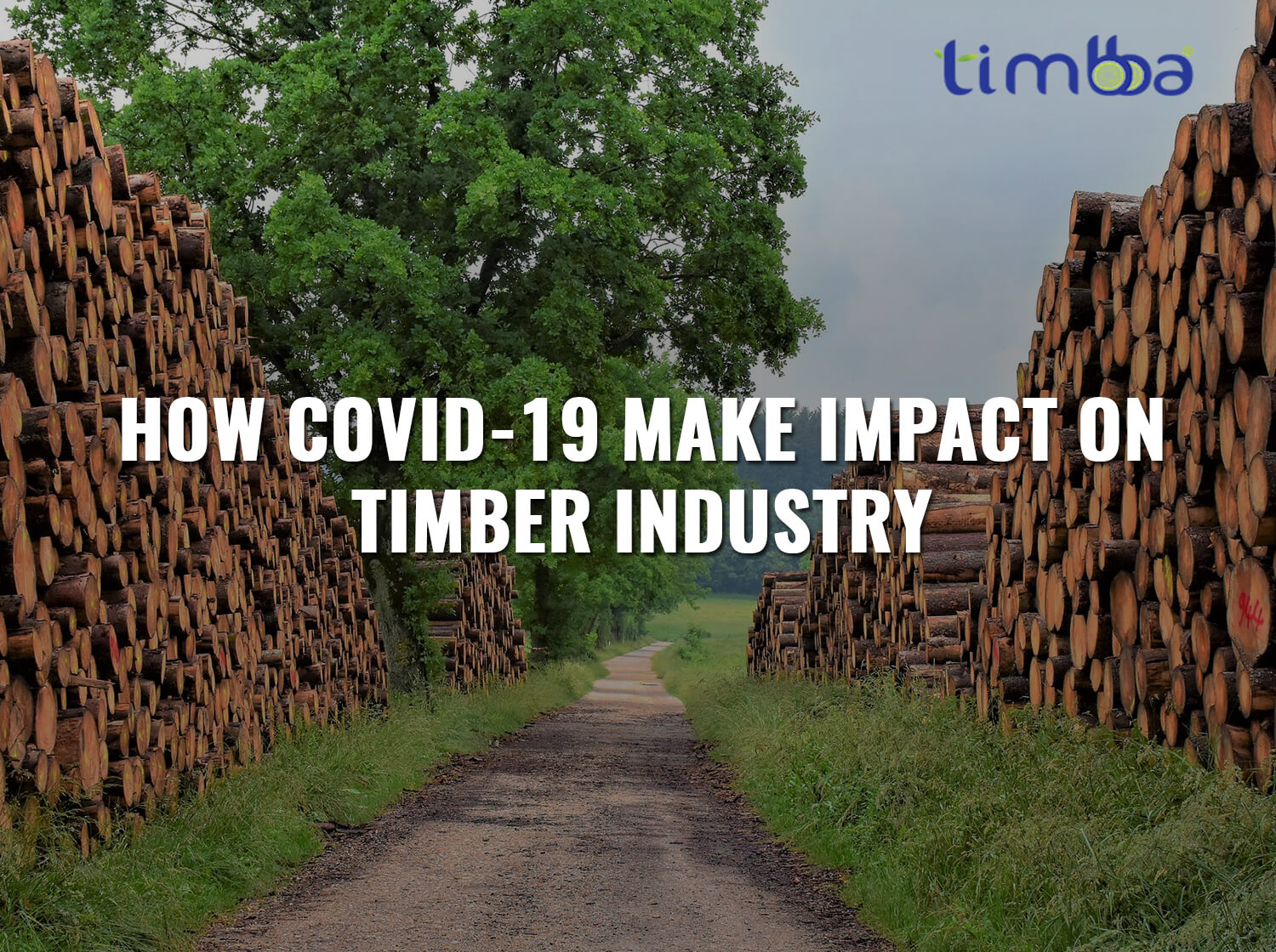 How Covid-19 Make Impact on Indian Timber Industry